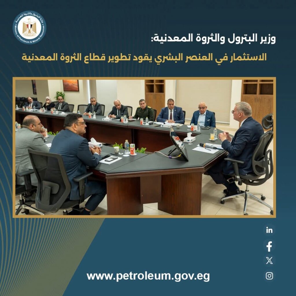 الثروة المعدنية