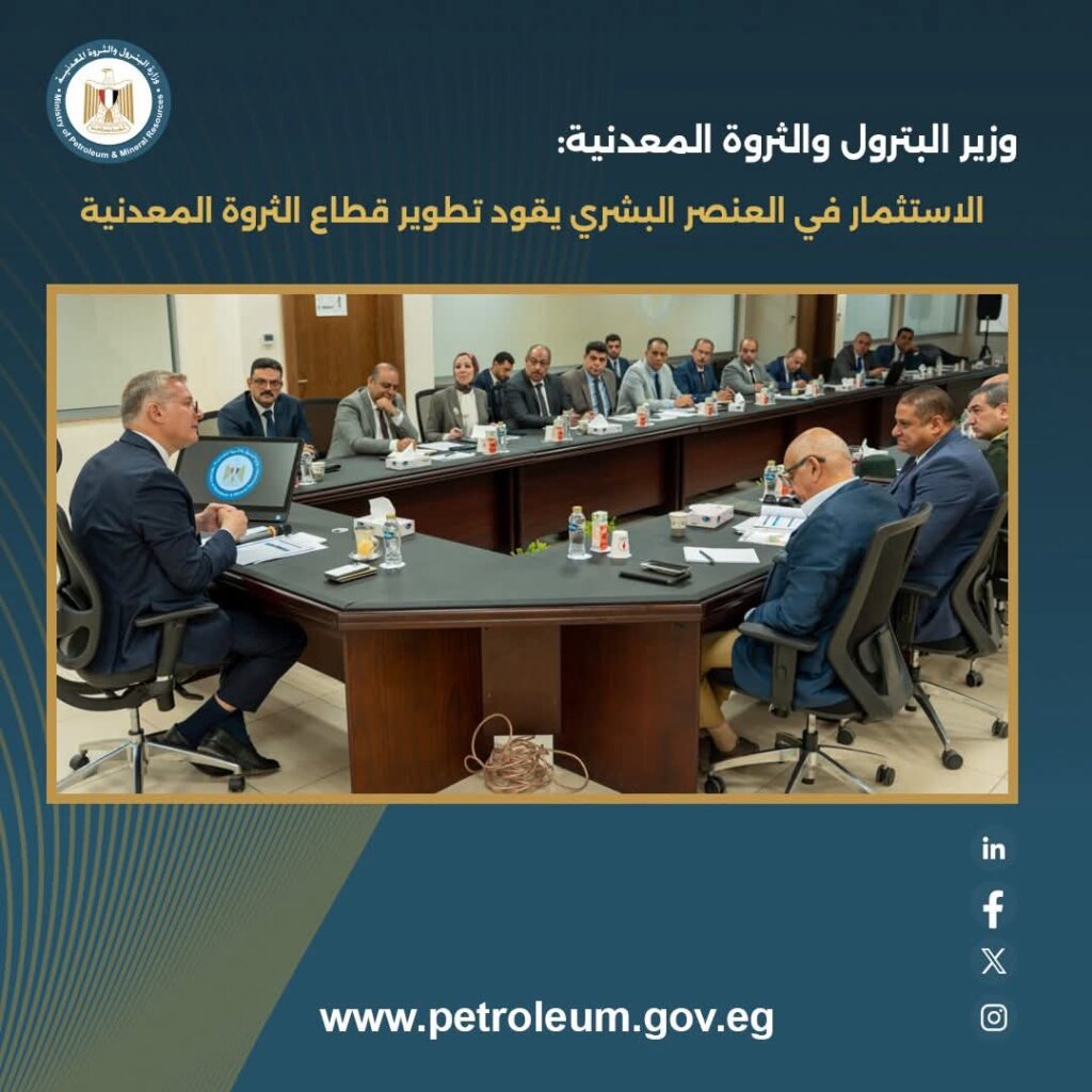 الثروة المعدنية