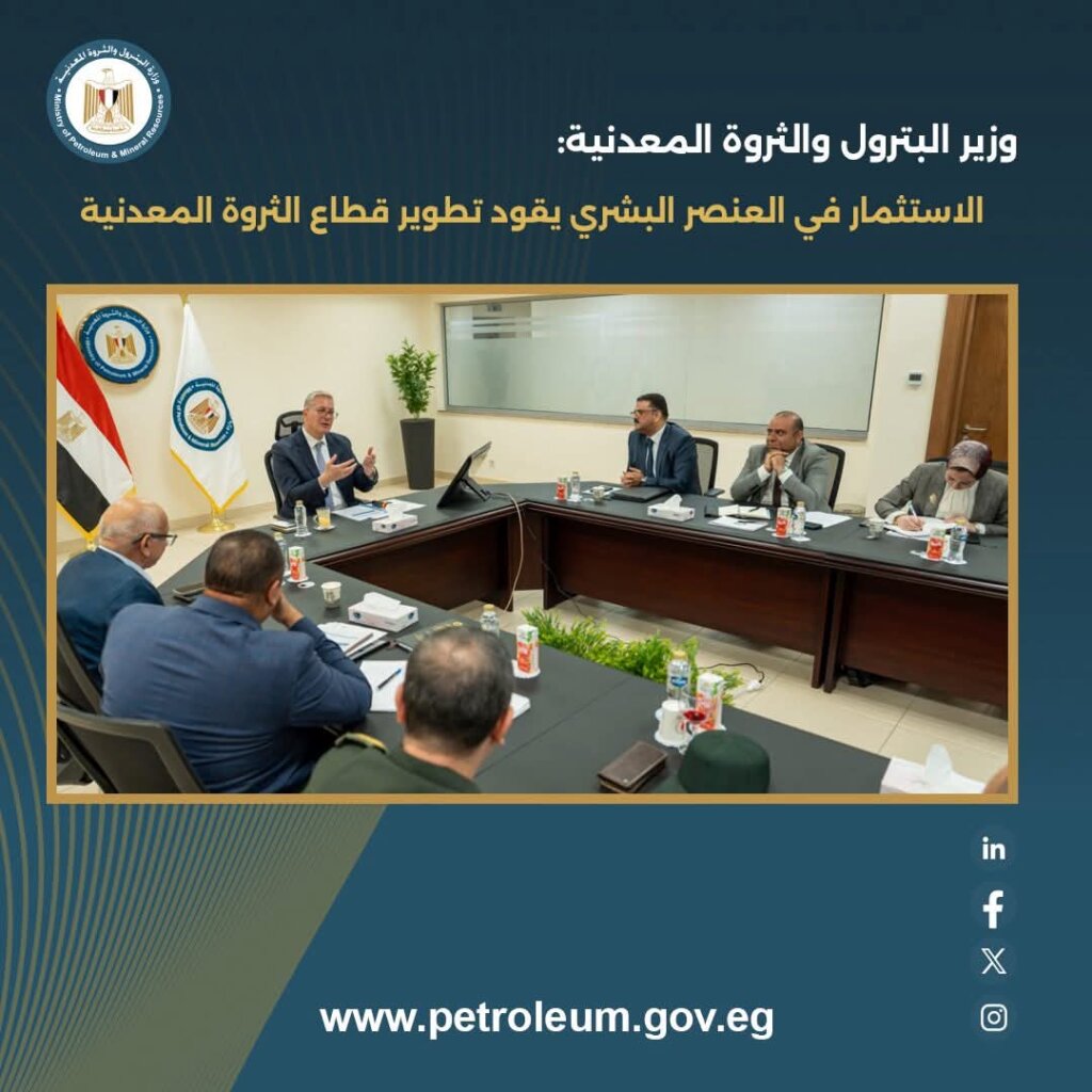 الثروة المعدنية