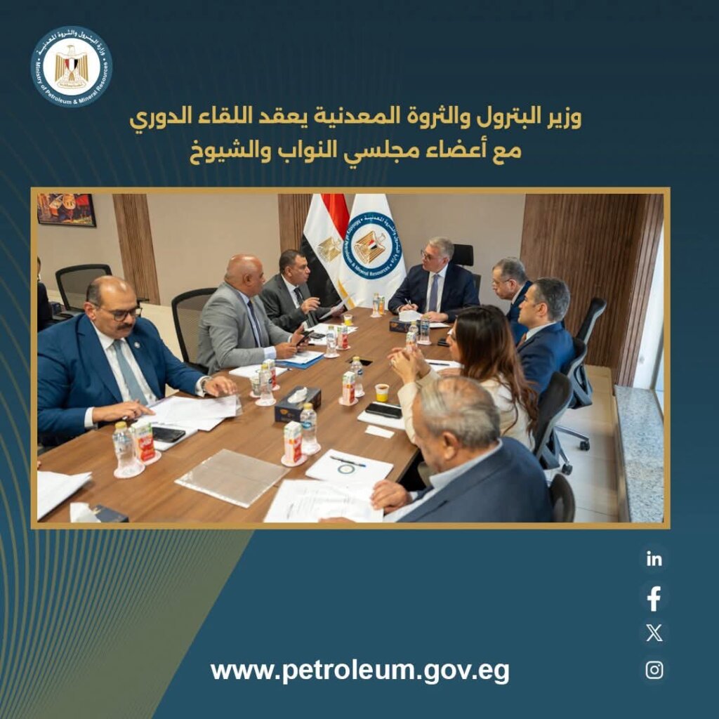 الثروة المعدنية