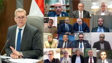 السهام البترولية