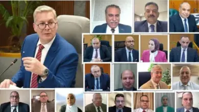 اعتماد اجتماع الجمعية العامة لشركة الوادي الجديد للثروة المعدنية والطفلة الزيتية (واديكو)