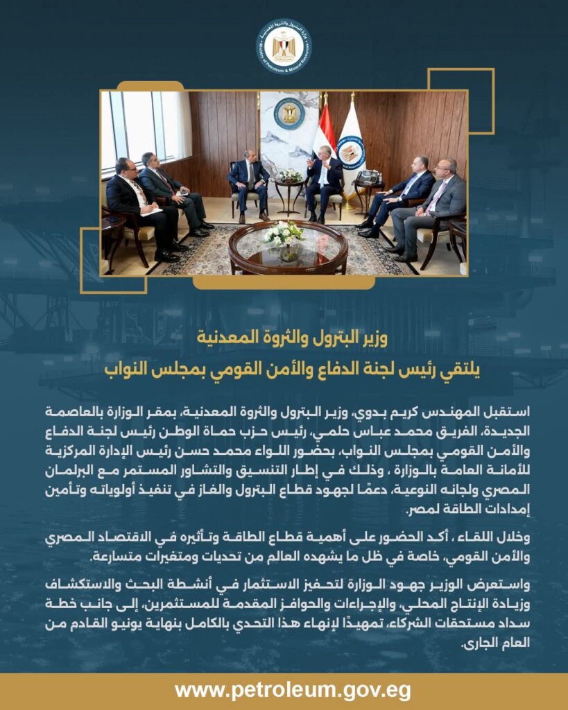 الثروة المعدنية 