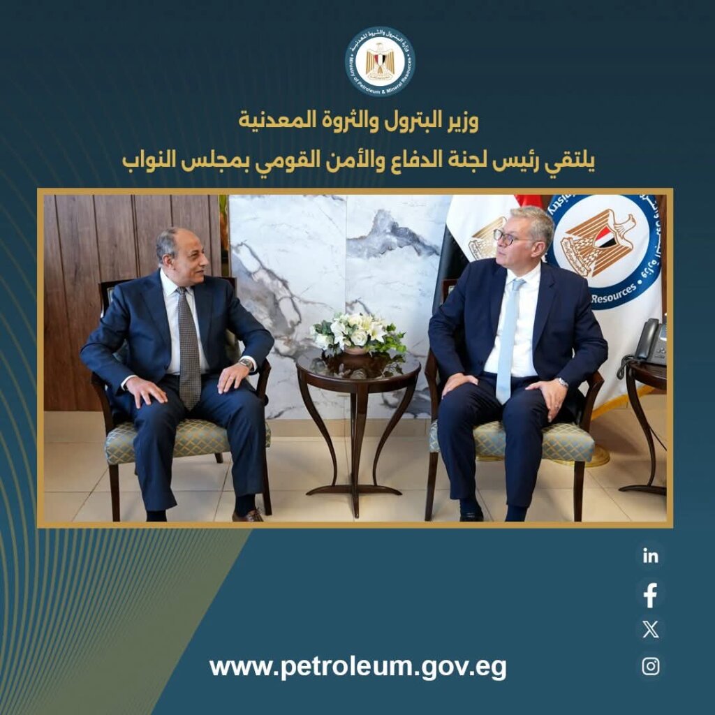 الثروة المعدنية 