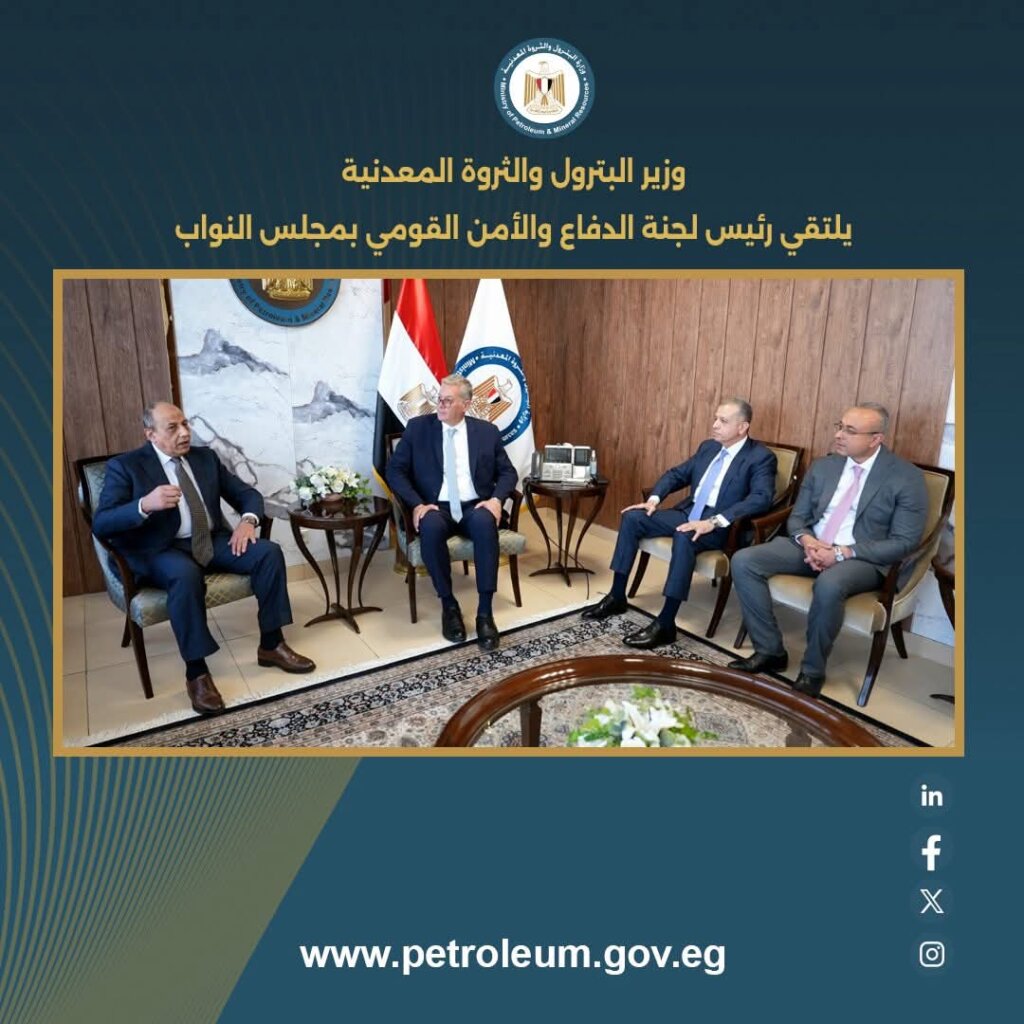 الثروة المعدنية 