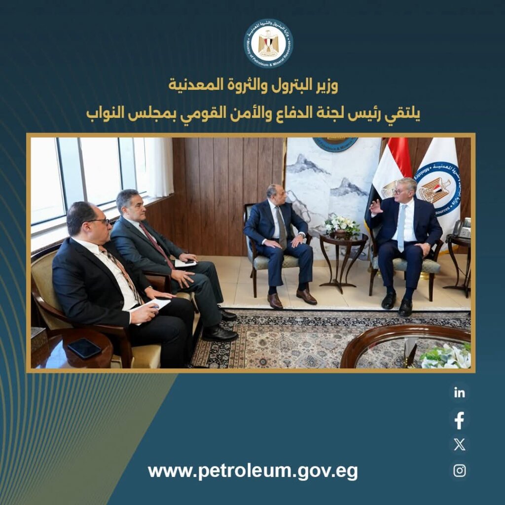 الثروة المعدنية 