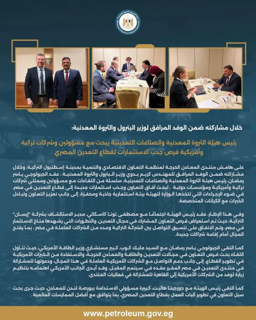 الثروة المعدنية 