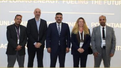 المسح الجيوفيزيقي