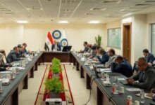 الثروة المعدنية