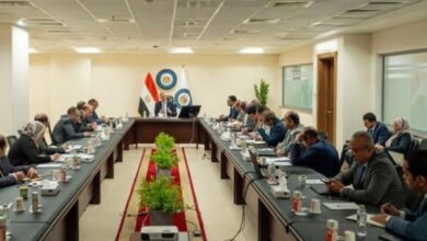 الثروة المعدنية