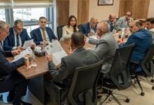 الثروة المعدنية