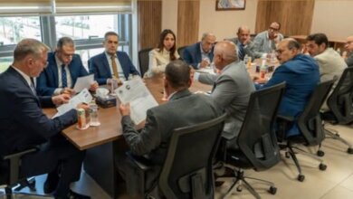 الثروة المعدنية