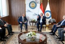 الثروة المعدنية