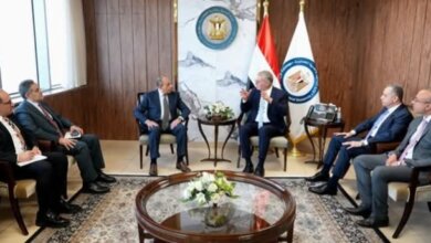 الثروة المعدنية