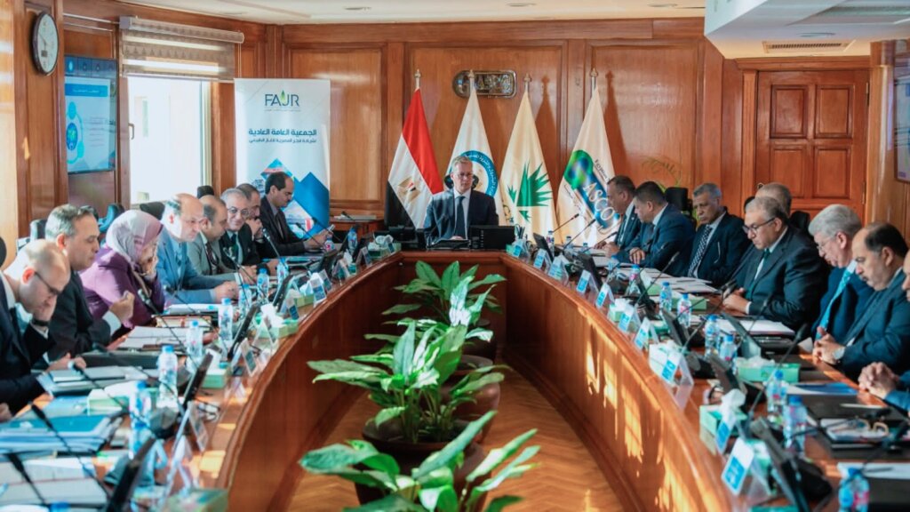 شركة فجر المصرية 