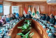 شركة فجر المصرية