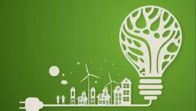 سيدبك تدعو إلى ترشيد استهلاك الطاقة وتعزيز ثقافة الاستدامة