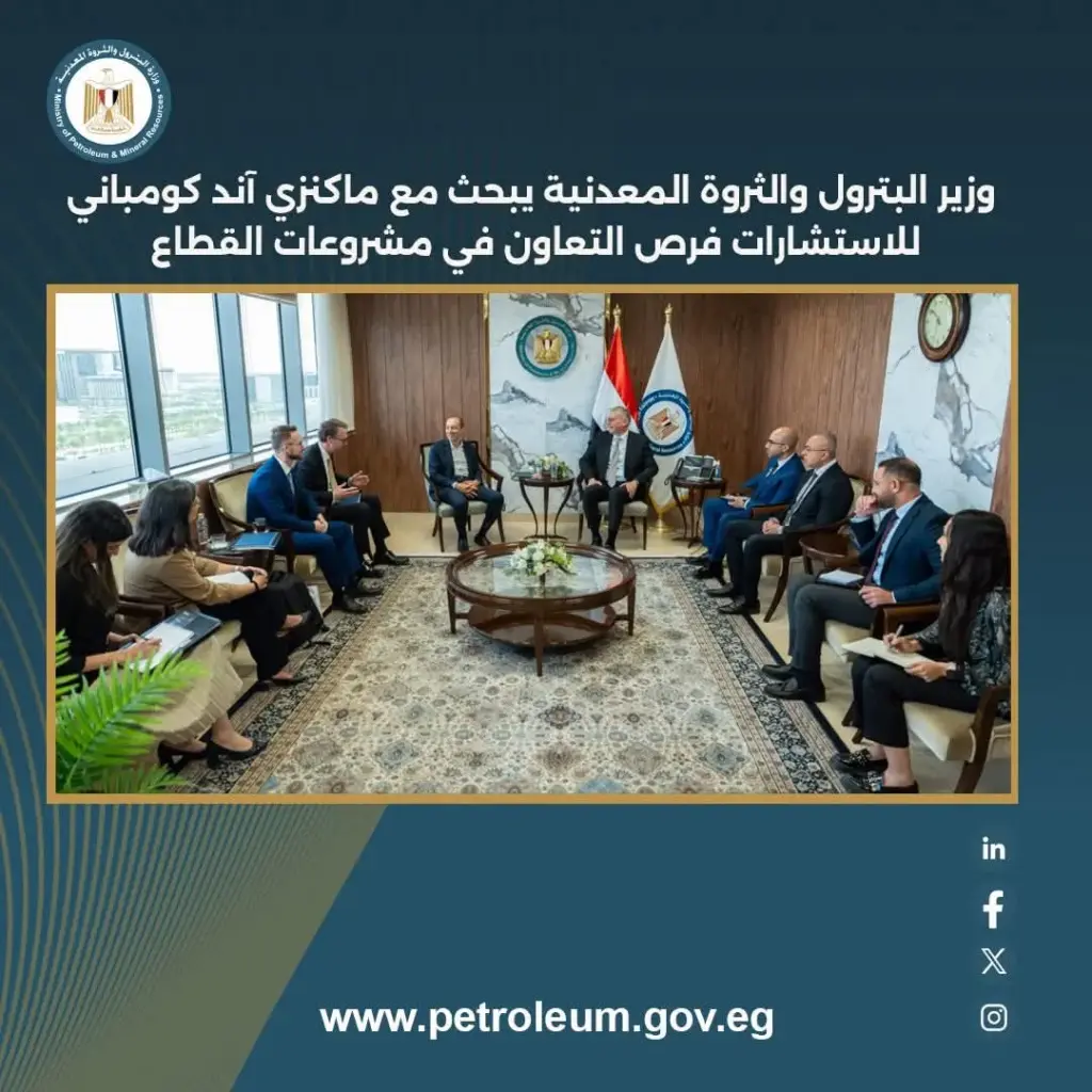 ماكنزي آند كومباني