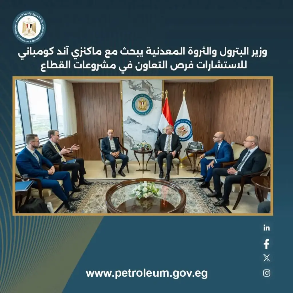 ماكنزي آند كومباني