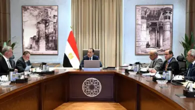 الوقود