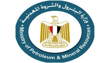 وزارة البترول والثروة المعدنية