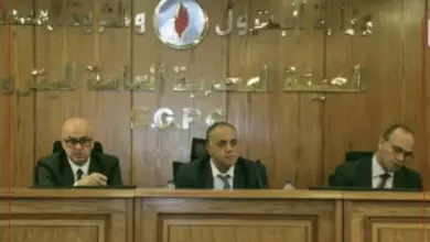 الأمن السيبراني