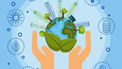 كفاءة الطاقة وأهداف التنمية المستدامة