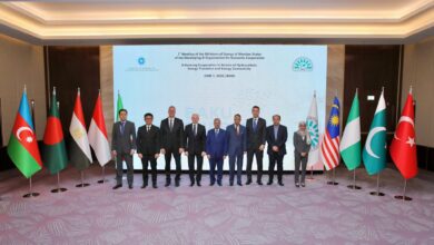 وزير البترول يشارك في الاجتماع الأول لوزراء الطاقة بمجموعة الدول الثماني النامية 