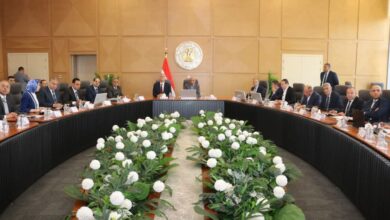 وزيرا الكهرباء والبترول يبحثان تأمين الوقود واستقرار الشبكة الكهربائية استعدادًا لذروة الأحمال الصيفية