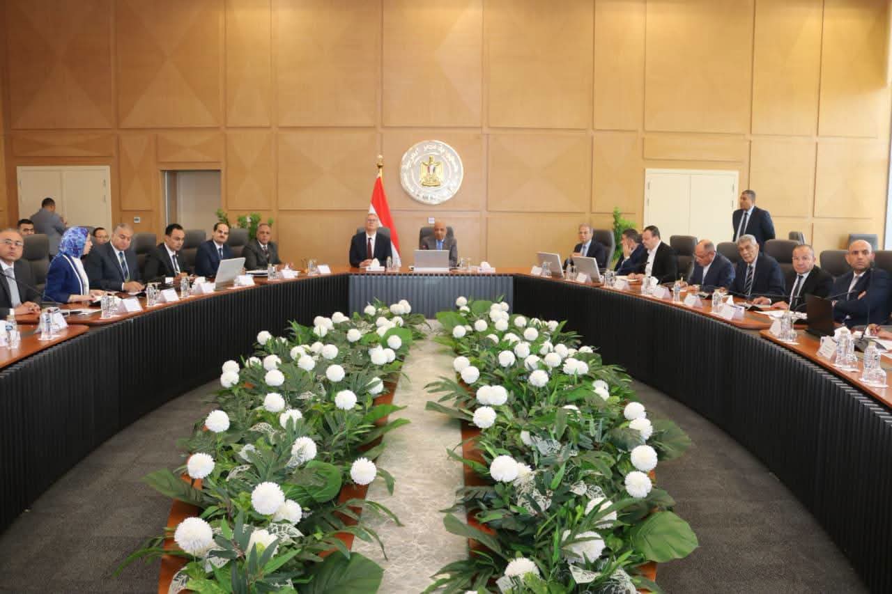 وزيرا الكهرباء والبترول يبحثان تأمين الوقود واستقرار الشبكة الكهربائية استعدادًا لذروة الأحمال الصيفية