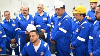 القابضة للبتروكيماويات