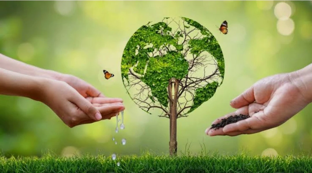العرض والإنتاج في اقتصاد التعدين 