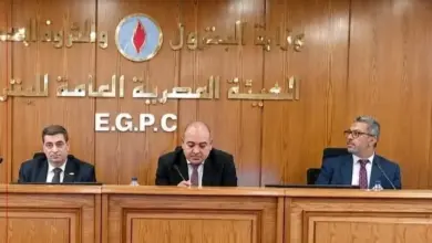 هيئة البترول تبحث تعظيم توطين صناعة كاسر الاستحلاب مع شركات الإنتاج البترولي