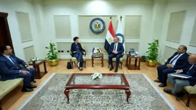 وزير البترول يبحث مع سفيرة قبرص تعزيز الشراكة في الغاز والتعدين