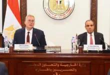 الثروة المعدنية