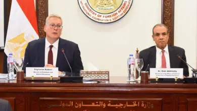 الثروة المعدنية