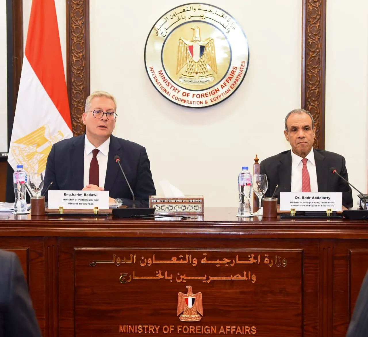 الثروة المعدنية