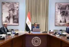 رئيس الوزراء يتابع عددًا من ملفات العمل المشتركة بين وزارتي البترول والطيران