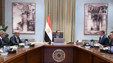 رئيس الوزراء يتابع عددًا من ملفات العمل المشتركة بين وزارتي البترول والطيران