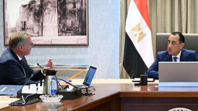 البترول والثروة المعدنية