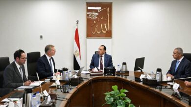 رئيس الوزراء يتابع مع وزير البترول عددًا من ملفات عمل الوزارة