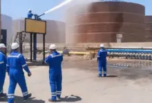 مستودع شاوة بالمنصورة