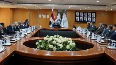 «جنوب الوادي القابضة للبترول» تتابع أداء شركاتها التابعة وتؤكد أهمية الالتزام بخطط زيادة الإنتاج