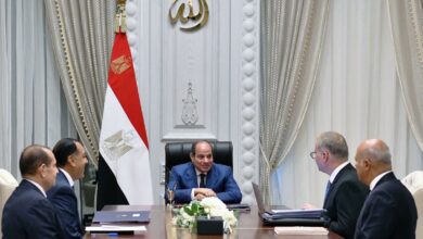 السيسي