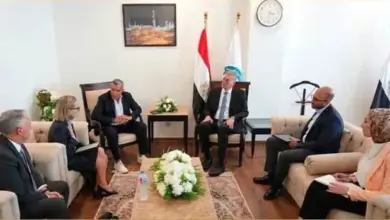 وزير البترول يبحث مع «فيلوكس» الأسترالية فرص الاستثمار في قطاع التعدين بمصر