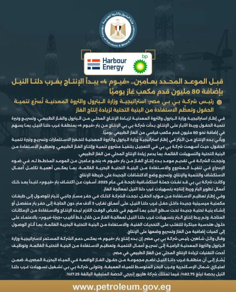 فيوم 4