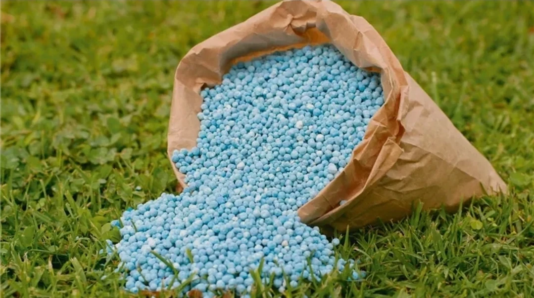 صناعة الأسمدة الفوسفاتية