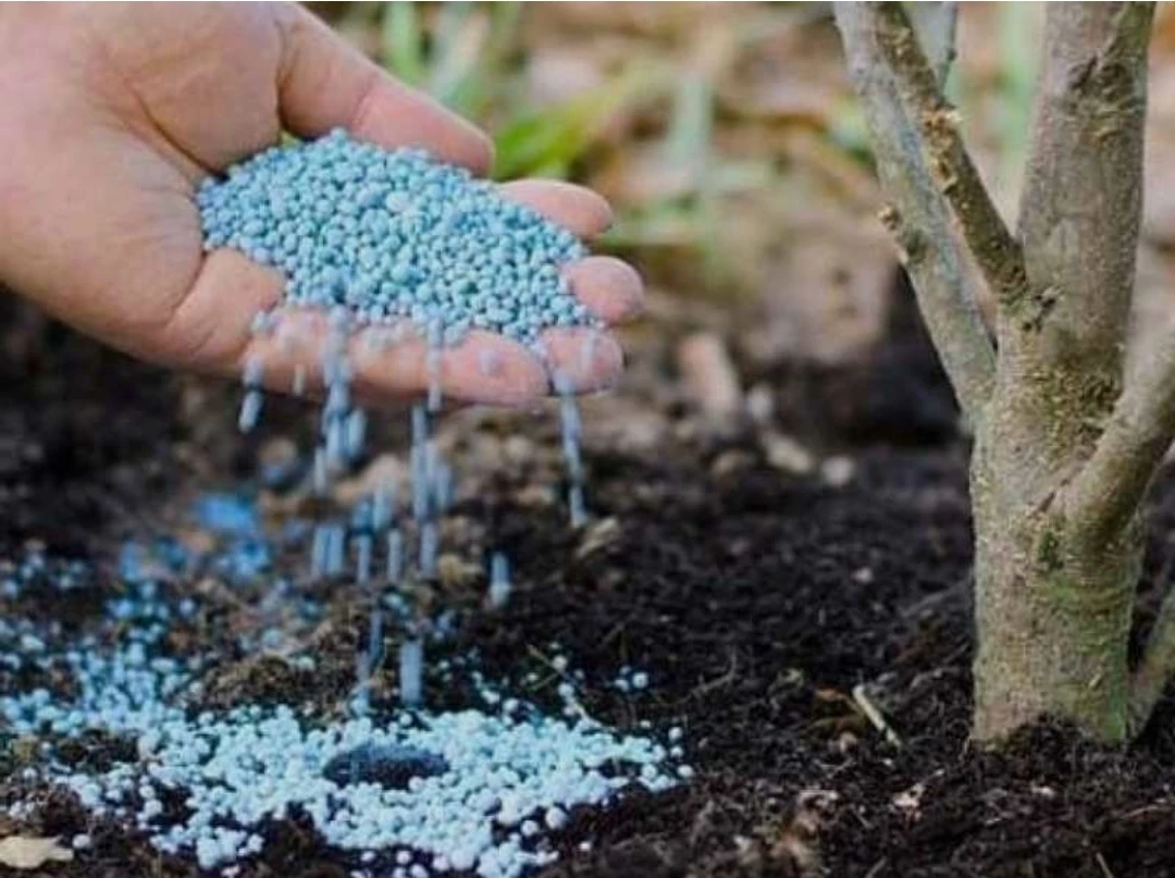 صناعة الأسمدة الفوسفاتية
