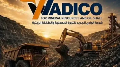 شركة الوادي الجديد للثروة المعدنية والطفلة الزيتية "واديكو"