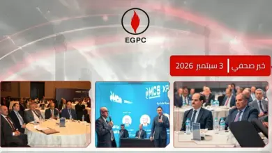 انطلاق البرنامج التنفيذي للأمن السيبراني وقيادة المخاطر بقطاعي البترول والثروة المعدنية
